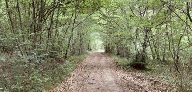 Randonnée du 1er mai